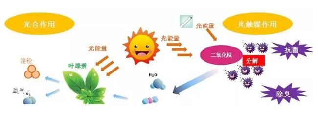 高洁雅郑州除甲醛