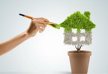 教你除甲醛的新办法 