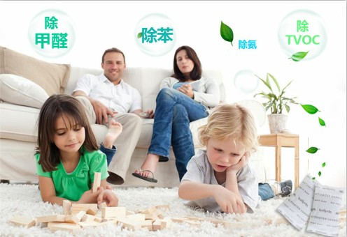 说说除甲醛有哪些技巧